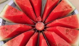 今日吃瓜--今日大赛 155,揭秘精彩瞬间，共赏竞技盛宴