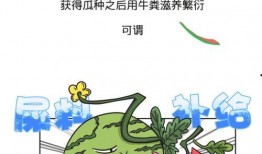 今日吃瓜-热心的朝阳群众吃瓜 瓜瓜吃瓜ppt,今日“吃瓜”事件深度解析